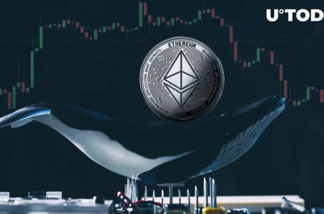 Almost 1 Million Ethereum Were Sold by Whales, Causing Drop in December
