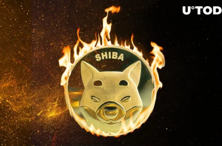 Shiba Inu Burn Address Used by Vitalik Buterin Now Reaches 410 Trillion Burned SHIB