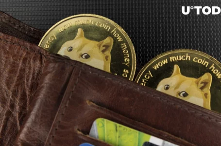 DOGE Core Developer Refutes Rumors About Transition of Dogecoin to POS