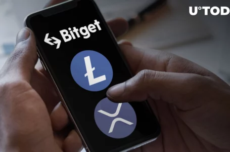 XRP and LTC Margin Trading Pairs Added by Bitget Exchange