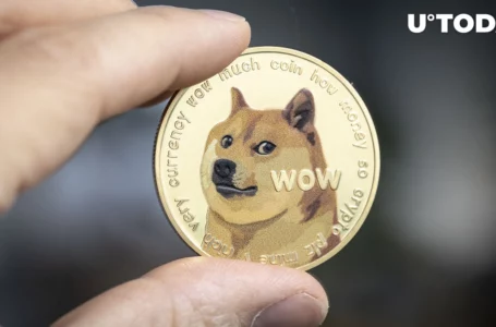 $1 DOGE Bet of This Influencer Fails, Now He Might Delete His Account