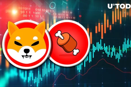 Shiba Inu’s BONE Shows Interesting Price Action Amid SHIB Falling