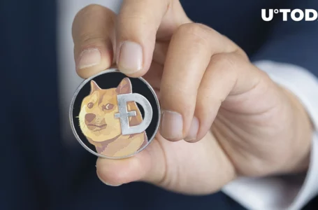 3 Reasons to Believe in Dogecoin (DOGE) Boom