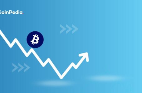 Top Analyst Cautions the Probable Dead Cat Bounce for Bitcoin (BTC) Price!