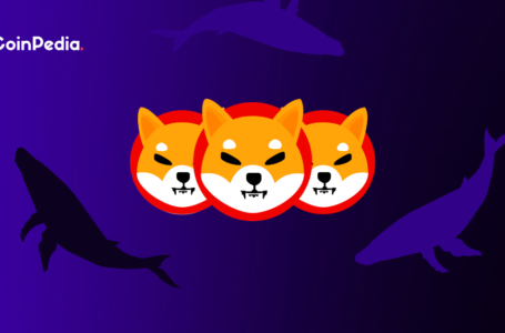 Whales Pile up Shiba INU, While Price Continues to Struggle below $0.00001