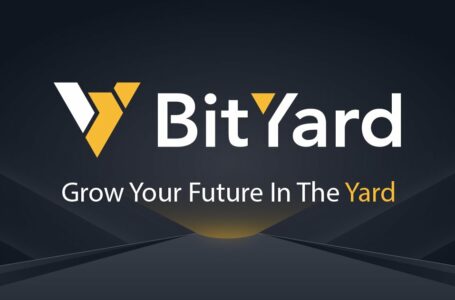 Bityard Review: A Relatively New Singapore Based Exchange