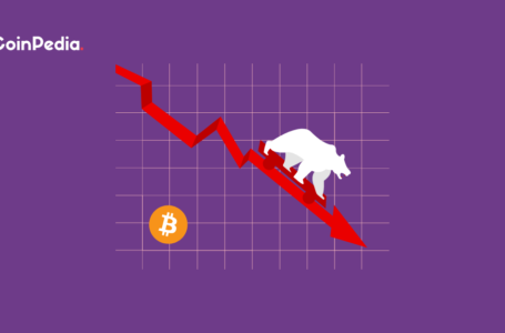 Bitcoin Flashing Signs of Weakness, what Next For BTC Price?