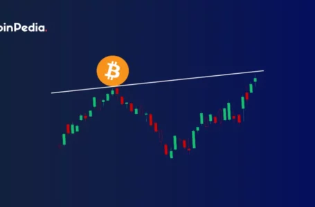 Bitcoin Bulls V. Bitcoin Bears: Who Shall Prevail In 2023?