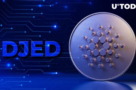 Cardano (ADA) to Launch Djed, Here’s What You Should Know About Algorithmic Stablecoin