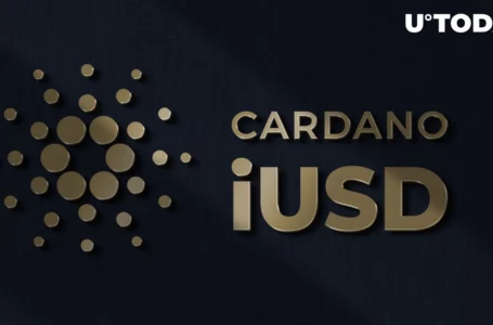 Cardano’s First Stablecoin: What You Should Know About iUSD