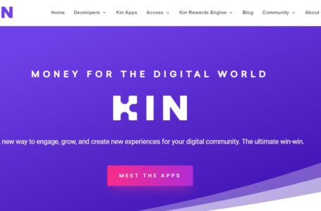 Kin (KIN) Review: All You Need To Know