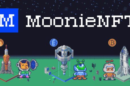 MoonieNFT (MNY): A Play-to-win Platform That Uses Pixel Art