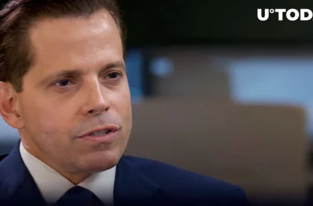Anthony Scaramucci Highlights BTC’s Resilience over Prominent Stocks