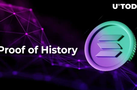 Solana (SOL): Impact of Proof of History on Its Network