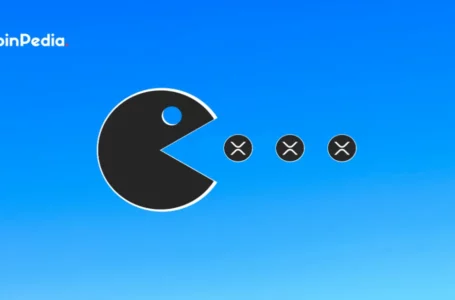 XRP Price Might Drop To This Level Despite Increasing Accumulation