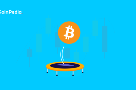 When Will The Crypto Markets See An Actual Bounce?