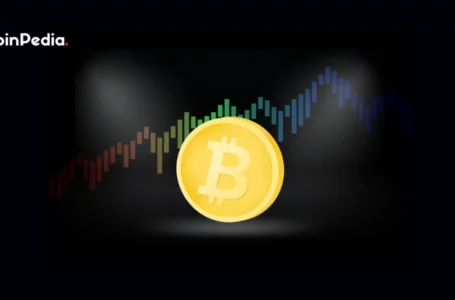 Bitcoin (BTC) Price Likely To Hit $20k By End Of December – Here’s How and Why
