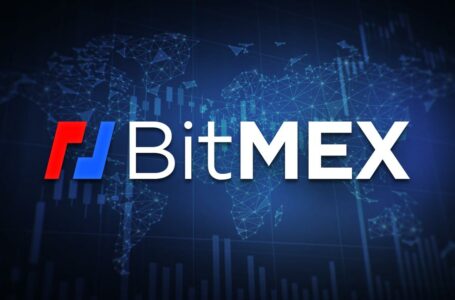 BitMEX Review (The Bitcoin Mercantile Exchange)