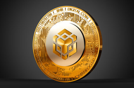 Amid Speculation and Rumors Surrounding Binance, Exchange Token BNB Suffers Losses From the Alleged FUD