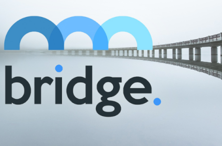 Bridge Mutual Review: Insurance for Crypto