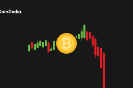 47% of Bitcoin Owners’ Gains From the Peak Bull run Now Erased