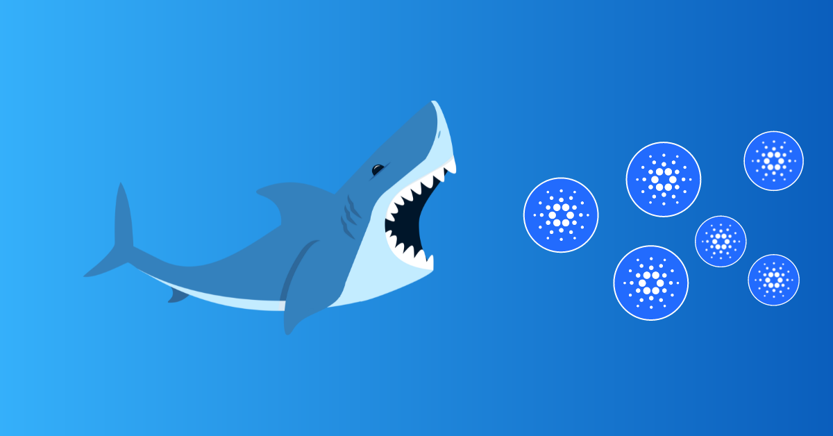 Cardano