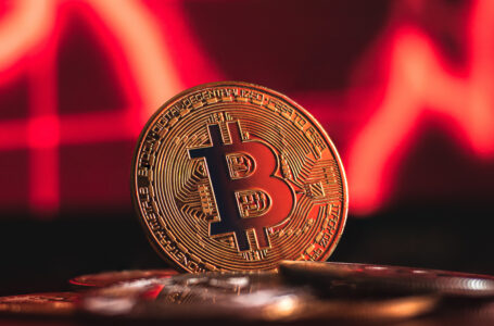 Over the Last Year, Bitcoin’s Market Cap Slid From the World’s 8th Most Valuable Asset to the 26th Position