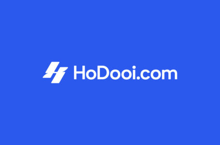 Hodooi (HOD): A Multi-Chain Marketplace Designed for NFT Creators and Collectors