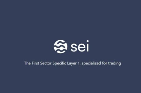 Sei Review: A Sector-Specific Layer-1 Chain Optimized for Trading
