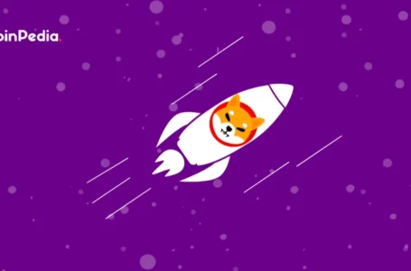 Christmas Bells Ring Could Ring on Shiba INU as Crypto Santa Could Rise SHIB Price by 100%!