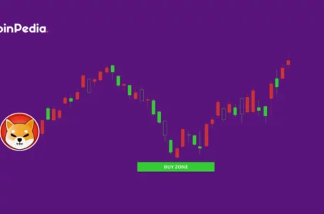 Shiba INU (SHIB) Price Heading towards a ‘Buy-Zone’, This is When it May Rebound!