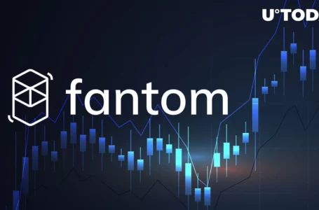 Fantom Becomes Most Rapidly Growing Network on Market With 2,108% Increase in 1 Year