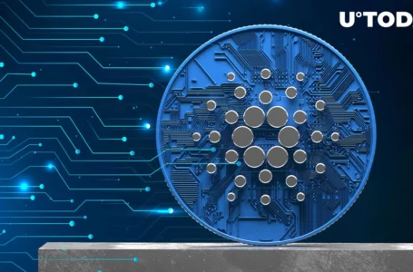 Cardano’s DeFi Industry Might Grow Substantially in 2023, Here’s How