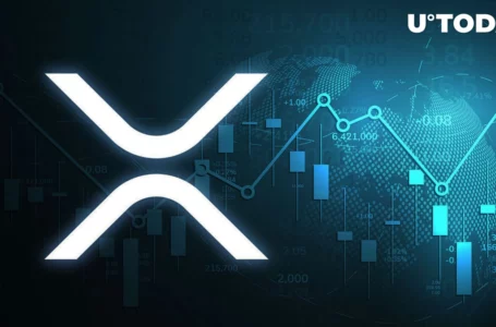 Hundreds of Millions of XRP Moved by Anon Wallets After Ripple Shifted Billion XRP