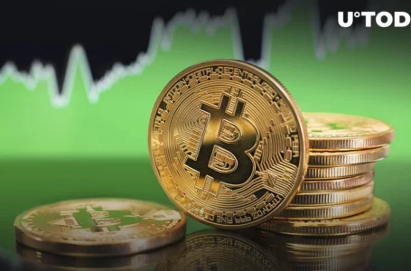 Bitcoin Price May Surge Within Six Months, Crypto Capital Venture Founder Explains Why