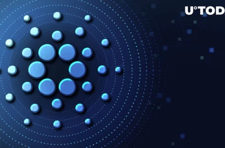 Cardano: Here Are Statistics as of Beginning of 2023, Here’s What Changed