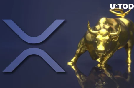 XRP: Strong Bullish Scenarios Emerge, Will Price Rally in 2023?