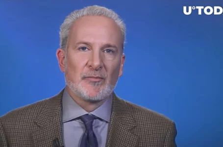 Bitcoin Failed as Risk Asset, Digital Gold and Non-correlated Asset, Says Peter Schiff