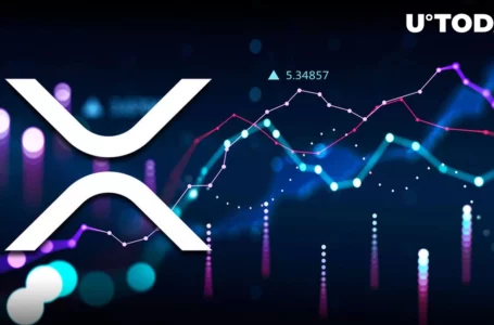 Here’s Why XRP Had One of Its Best Years in 2022