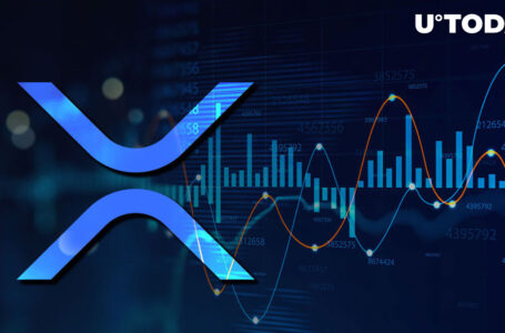 XRP Worth $600,000 Traded on Major Exchange 2 Hours After Relisting