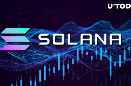 Solana’s (SOL) Daily Active User Base Soars 50% in January, Here’s Why