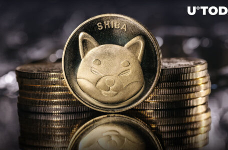 “SHIB Needs 10,000 Years To Hit $1,” Shiba Inu Holder Says, Here’s Why