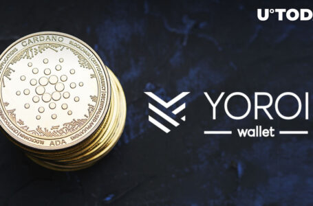 Cardano-Based Yoroi Wallet Sunset Support for Ergo Token: Details