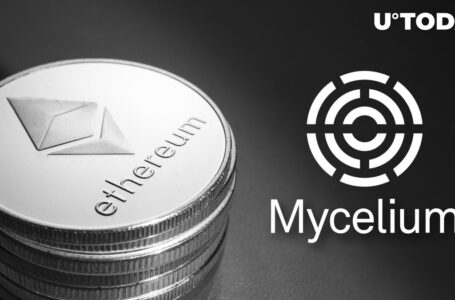 Mycelium DeFi Exploited Due to Price Feed Issues