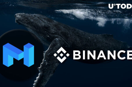 MATIC Whale Moves Almost $8 Million to Binance, Price Reacts