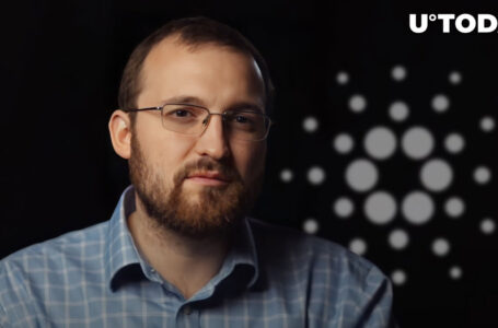 Cardano Founder Reacts to ADA Price Surge, Teasing Upcoming Improvements