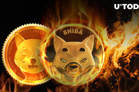 Trillions of SHIB Will Be Burnt When Shibarium Launches: SHIB Whale