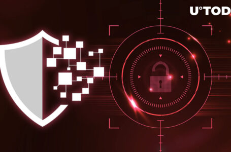 $3.78 Billion Lost in 303 Hacks: SlowMist Releases Report on 2022 Blockchain Attacks