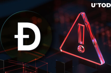 Scam Alert: Dogecoin Community Warns of Fraudulent New Token