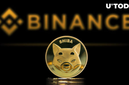 New Details on 4 Trillion SHIB Moved by Binance – Shiba Inu Staking Performed